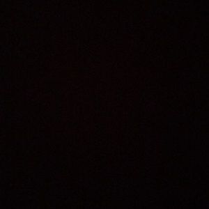 Meet your Posher, Brigette